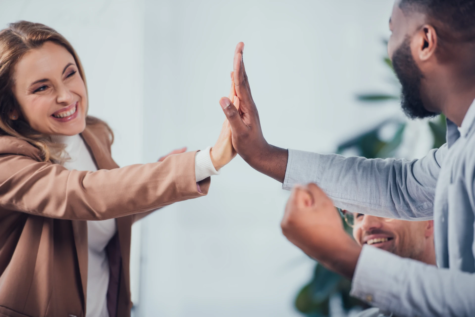 conflict resolution and negotiation strategies